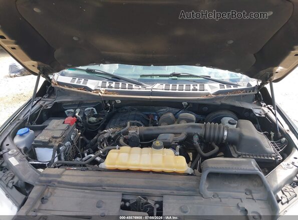 1FTMF1CB8JFB38208 2018 FORD F150 Gray უკანა ხედი