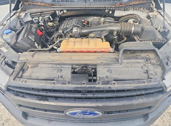 1FTMF1CB8KFA42581 2019 FORD F150 White Вид задньої частини салону