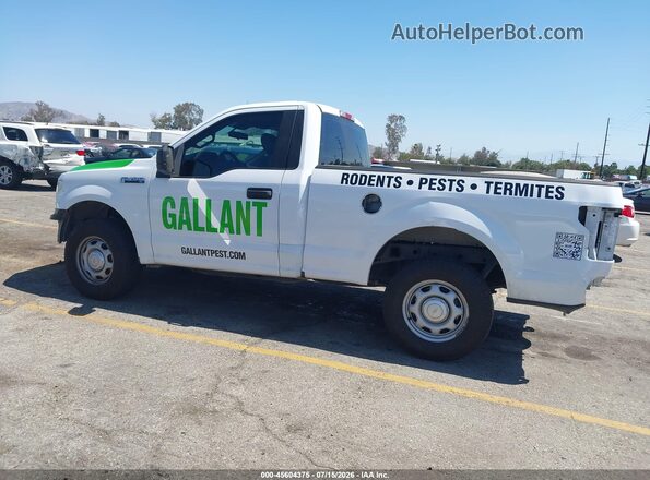 1FTMF1CB8KKC23736 2019 FORD F150 Yellow 