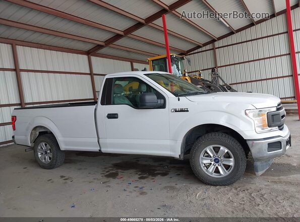 1FTMF1CB8LKD09355 2020 FORD F150 Белый Вид задней части салона