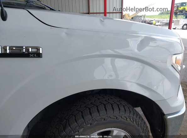 1FTMF1CB8LKD09355 2020 FORD F150 Белый Вид спереди