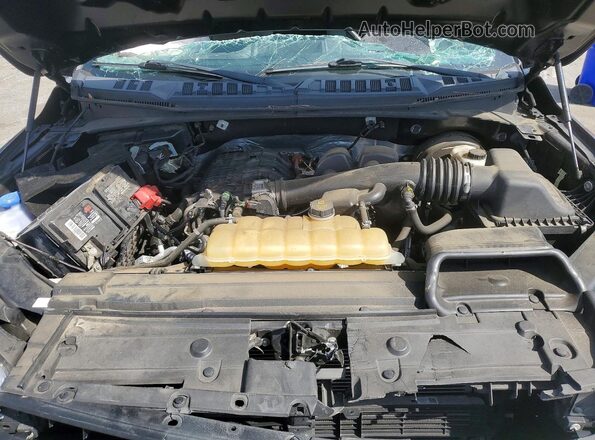 1FTMF1CB8LKD46485 2020 FORD F150 Gray Սալոնի հետևի տեսք