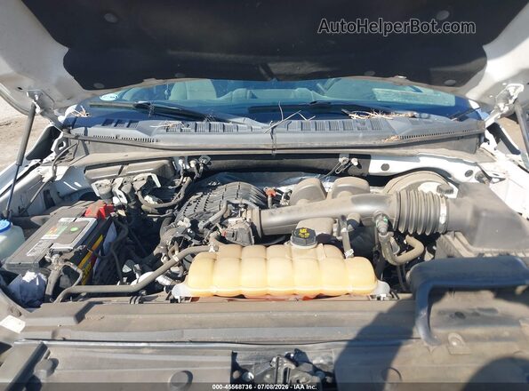 1FTMF1CB9JKC73270 2018 FORD F150 White Widok z tyłu