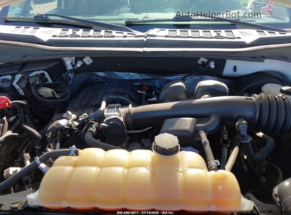 1FTMF1CB9KKD13252 2019 FORD F150 White Rear view