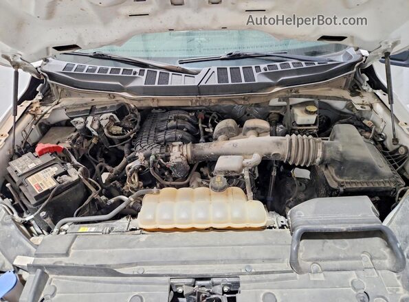 1FTMF1CB9MKD02447 2021 FORD F150 White უკანა სალონის ხედი
