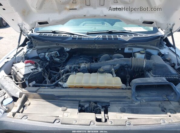1FTMF1CB9PKE94215 2023 FORD F150 White უკანა ხედი