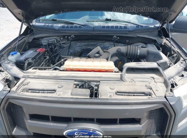 1FTMF1CF2HKC14199 2017 FORD F150 Gray Widok z tyłu