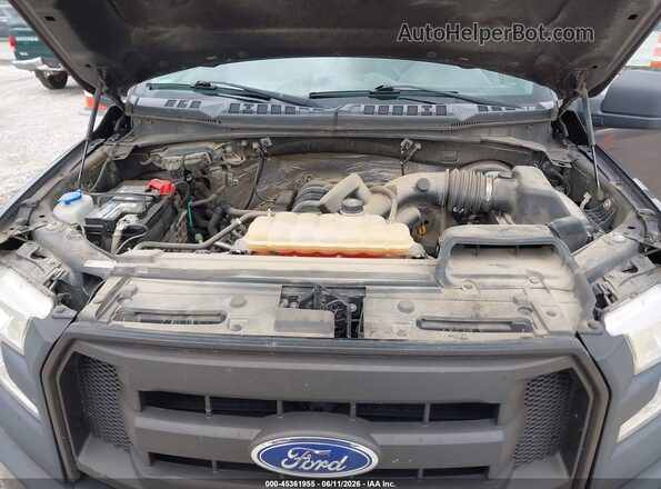 1FTMF1CF9HKC14197 2017 FORD F150 Gray Вид ззаду
