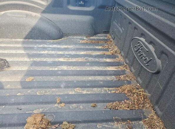 1FTMF1CFXGKD10709 2016 FORD F150 Black Rear seats view