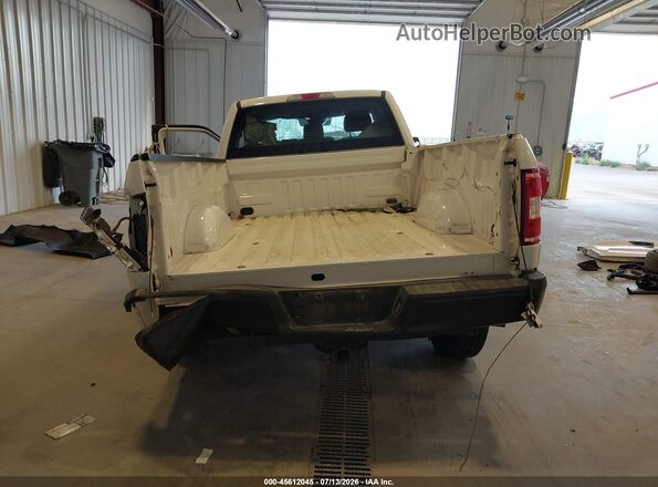 1FTMF1CP0KKC91394 2019 FORD F150 Белый 