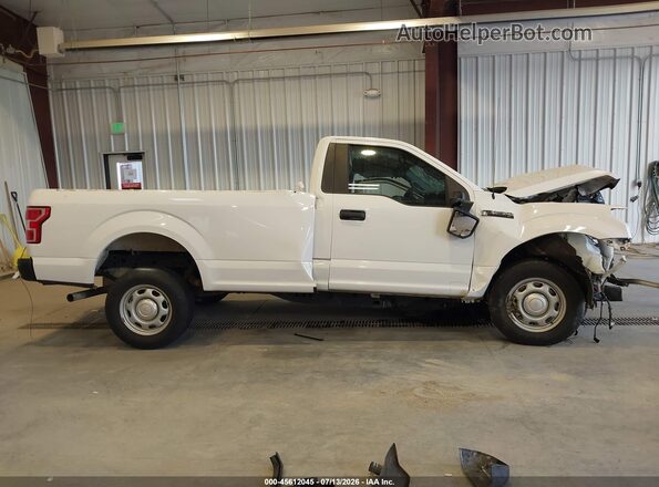 1FTMF1CP0KKC91394 2019 FORD F150 Белый Панорамный вид салона 360°