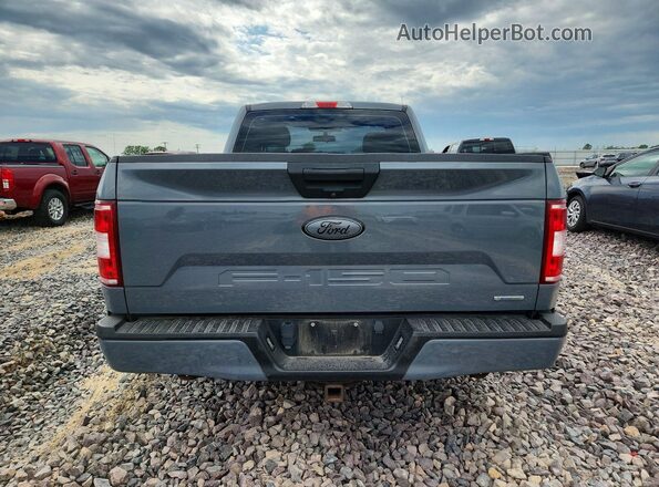 1FTMF1CP0KKD89633 2019 FORD F150 Gray Widok z tyłu
