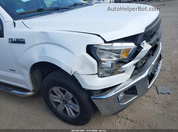 1FTMF1CP3GFA48890 2016 FORD F150 White Front view