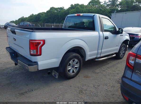 1FTMF1CP3GFA48890 2016 FORD F150 White Rear right