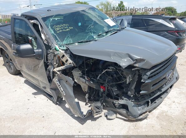 1FTMF1CP3JFD80030 2018 FORD F150 Gray Դիմացի տեսք