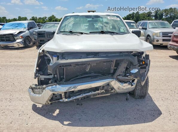 1FTMF1CP5PKF59718 2023 FORD F150 White Vista frontal
