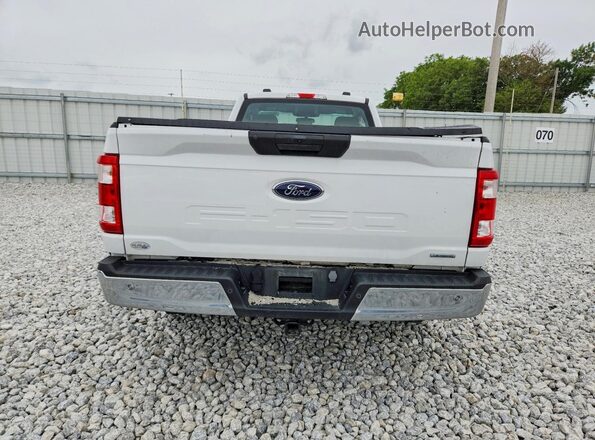 1FTMF1CP8PKF11615 2023 FORD F150 Белый Вид сзади