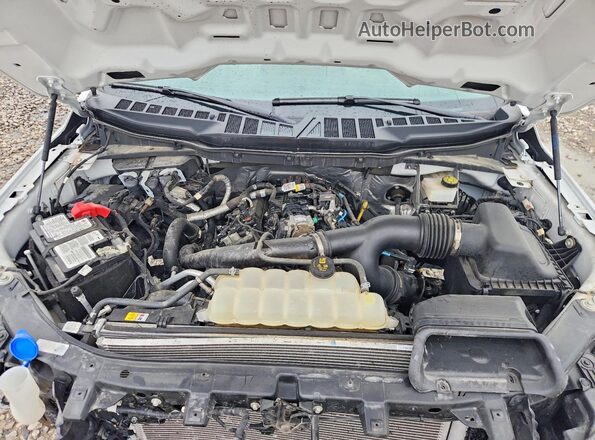 1FTMF1CP8PKF75153 2023 FORD F150 White Սալոնի հետևի տեսք
