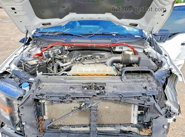 1FTMF1CPXPKF49802 2023 FORD F150 White Rear interior view
