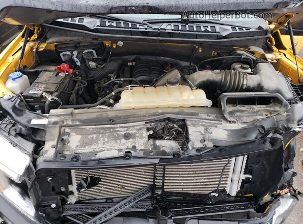 1FTMF1E59LKD46244 2020 FORD F150 Золотой Вид задней части салона