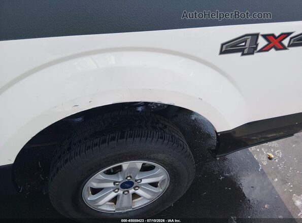 1FTMF1EB0KKE47435 2019 FORD F150 Белый Вид задней части салона