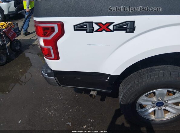 1FTMF1EB0KKE47435 2019 FORD F150 Белый 
