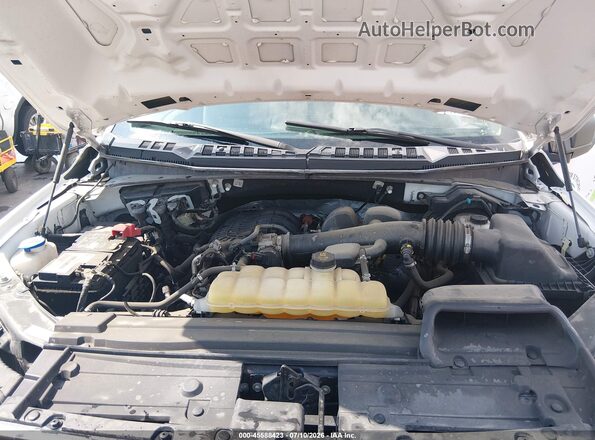 1FTMF1EB0KKE47435 2019 FORD F150 Белый Вид сзади