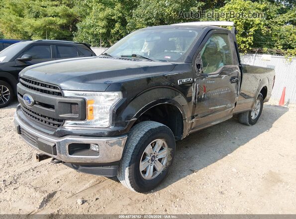 1FTMF1EB1KKD34478 2019 FORD F150 Gray Առջևի ձախ երեք քառորդ տեսարան