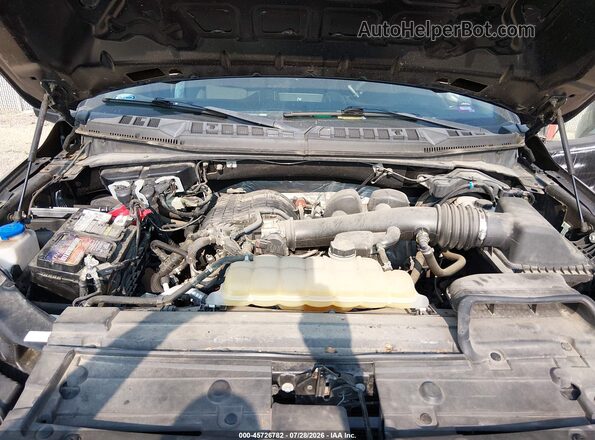 1FTMF1EB1KKD34478 2019 FORD F150 Gray Հետևի տեսք