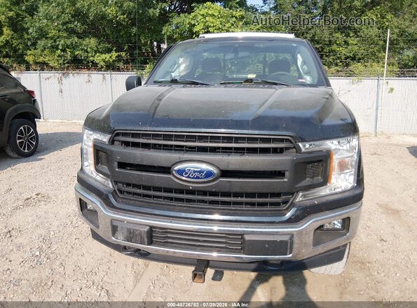 1FTMF1EB1KKD34478 2019 FORD F150 Gray Սալոնի հետևի տեսք