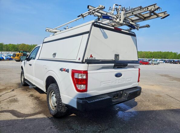 1FTMF1EB6PKE30758 2023 FORD F150 White Tył lewy