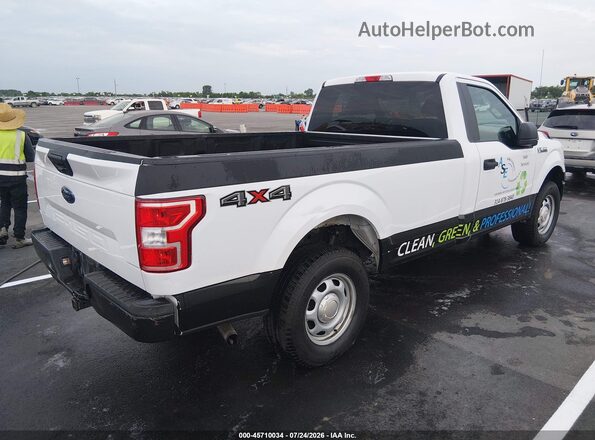 1FTMF1EB8KKF32328 2019 FORD F150 White უკანა მარჯვენა