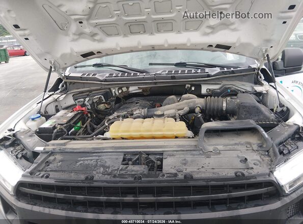 1FTMF1EB8KKF32328 2019 FORD F150 White უკანა ხედი