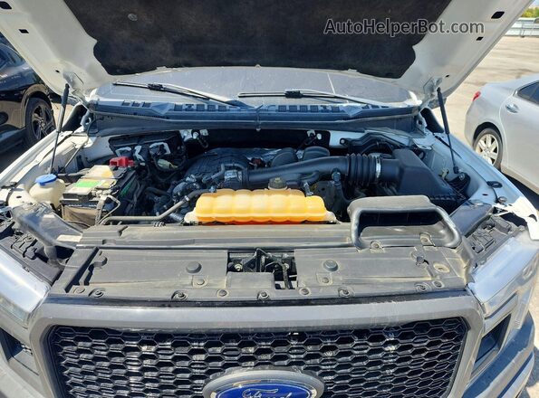 1FTMF1EB9JKC12336 2018 FORD F150 Белый Вид задней части салона