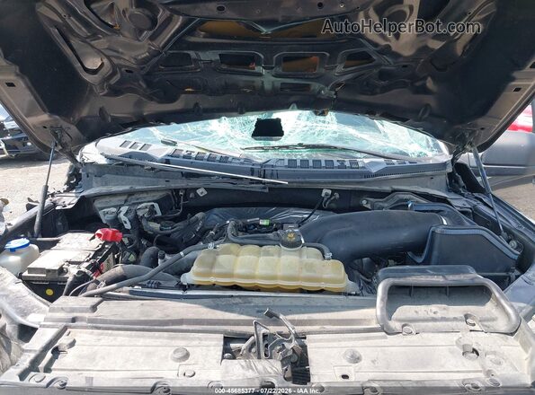 1FTMF1EP1KKD02173 2019 FORD F150 Серый Вид сзади