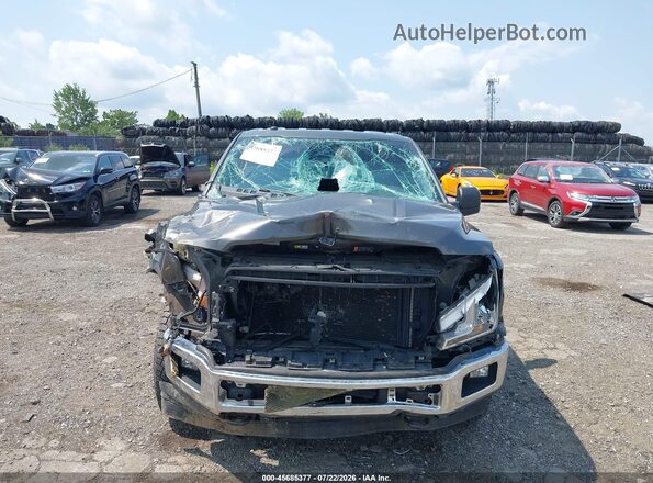 1FTMF1EP1KKD02173 2019 FORD F150 Серый Вид спереди