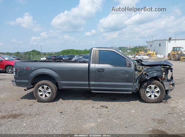 1FTMF1EP1KKD02173 2019 FORD F150 Серый Вид задней части салона