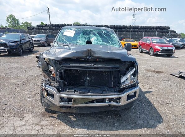 1FTMF1EP1KKD02173 2019 FORD F150 Серый Вид щитка приборов
