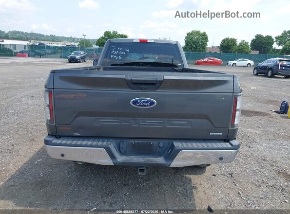 1FTMF1EP1KKD02173 2019 FORD F150 Серый 