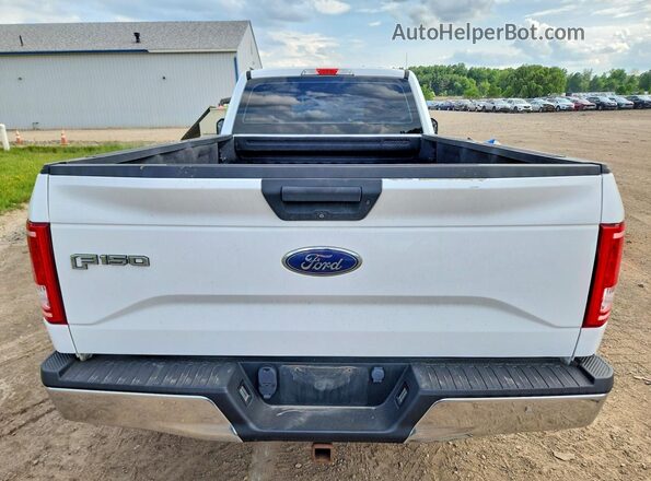 1FTMF1EP4GKD41802 2016 FORD F150 White Widok z tyłu