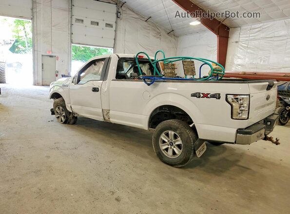 1FTMF1EP4LKD04260 2020 FORD F150 White Задня ліва чверть
