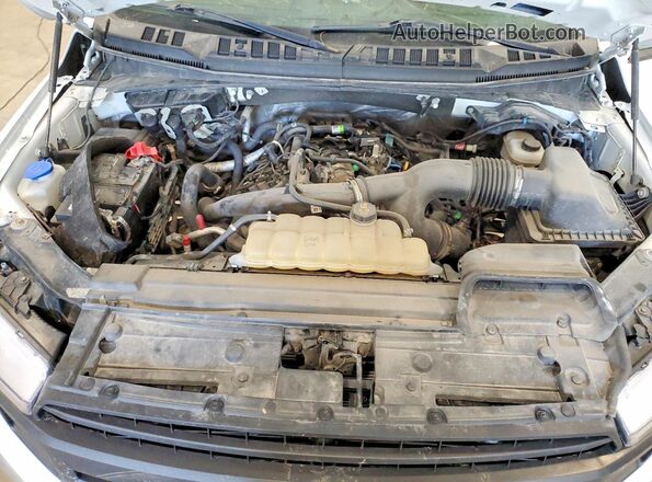 1FTMF1EP4LKD04260 2020 FORD F150 White Вид задньої частини салону