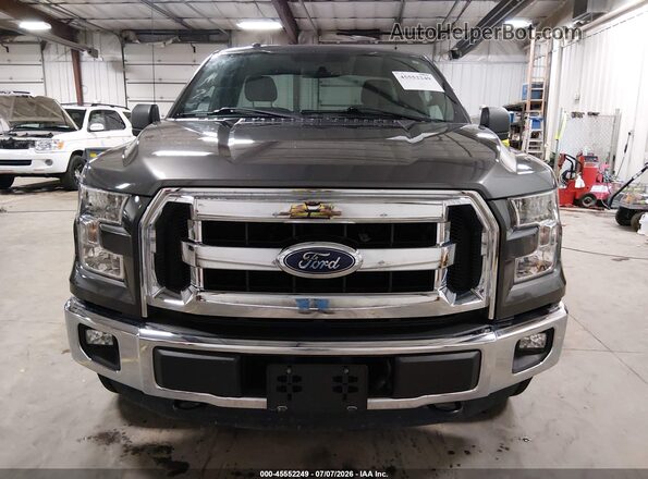 1FTMF1EP8GKE09468 2016 FORD F150 Gray Սալոնի հետևի տեսք