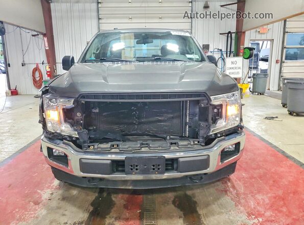 1FTMF1EP8KFA55887 2019 FORD F150 Gray Widok z przodu