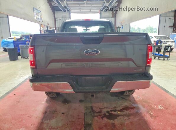 1FTMF1EP8KFA55887 2019 FORD F150 Gray Widok z tyłu