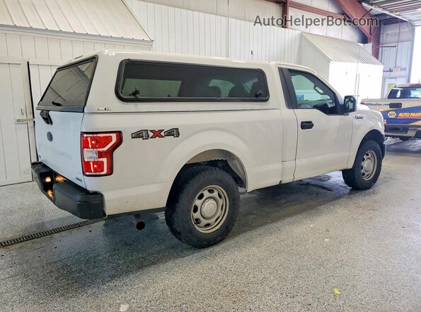1FTMF1EPXKKD64879 2019 FORD F150 White Rear right