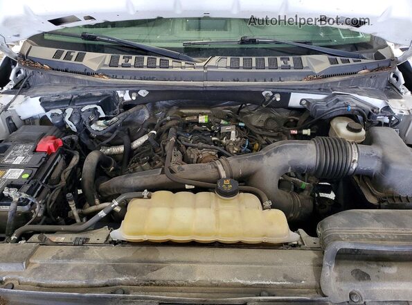 1FTMF1EPXKKD64879 2019 FORD F150 White Rear interior view