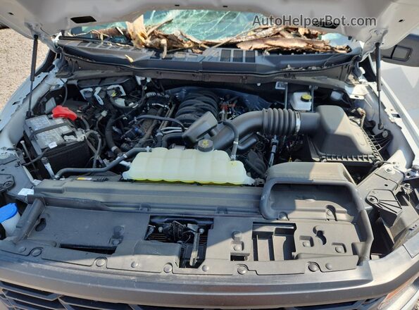 1FTMF1K54SKE49896 2025 FORD F150 White Widok wnętrza z tyłu