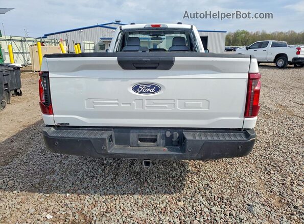1FTMF1KP1RKE78011 2024 FORD F150 White Вид ззаду