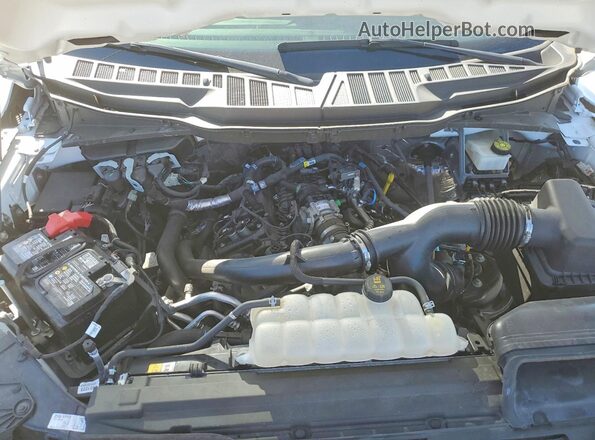 1FTMF1KP1RKF01738 2024 FORD F150 White Սալոնի հետևի տեսք